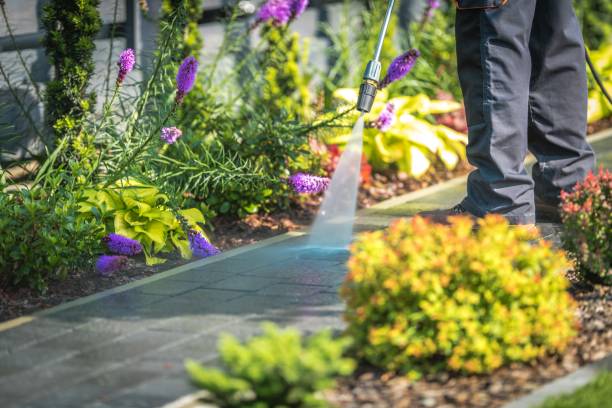Best Patio and Deck Pressure Washing  in Groves, TX